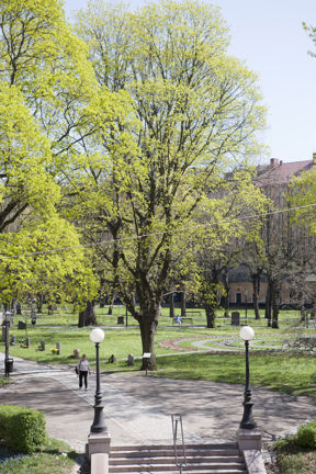 Werner Aspenströms litterära skylt på Maria Magdalena kyrkogård.