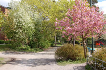 Fagerlidsparken i Hökarängen