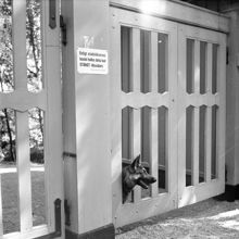 Solviksbadet. Grinden till det stängda badet (p.g.a. att paratyfusvirus påträffats)