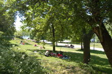 Drakensbergsparken
