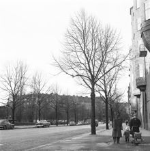 Karlavägen västerut vid Ellen Keys park