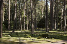 Skogskyrkogården Begravningsplatsen