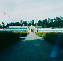 Växthus i Haga Trädgård