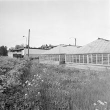 Växthus i Hässelby