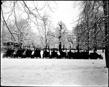 Droskbilar av äldre modell fotograferade vid Bellmansro på Djurgården. I bakgrunden syns Bellmansbysten som avtäcktes 1829.