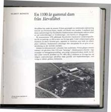 En 1100 år gammal dam från Järvafältet / Solbritt Benneth