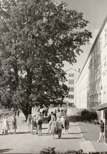 Bilder från Södra flickläroverket på Södermalm