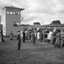 Publik vid Ulriksdals kapplöpningsbana