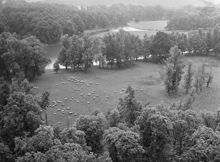 Utsikt över Drottningholmsparken från Götiska tornet. Får på bete