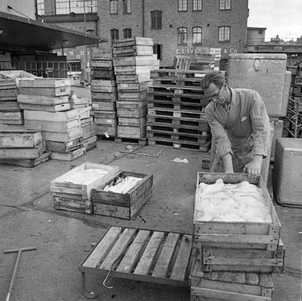Nedanför en stor tegelbyggnad står en mängd trälådor staplade. En man undersöker en av dem. Den innehåller fisk.