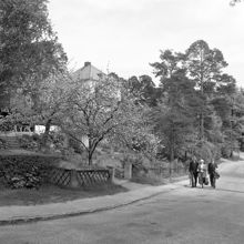 Äppelvikens villaområde.
Äppelviksvägen mot öster vid korsningen med Runda vägen.