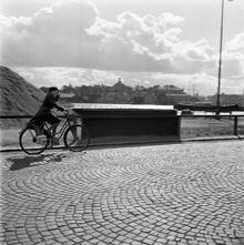 Strandvägen. Kvinna cyklar i blåsväder