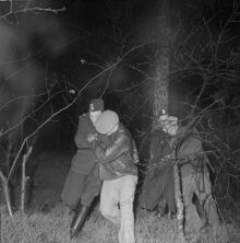 Arrangerat inbrott. Polisen griper tjuvarna under deras flykt i skogen