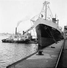 SS Starkgrogg, pontonkran och SS Monita i Stadsgården