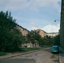 Ola Hanssonsgatan sedd från Hjalmar Söderbergs Väg. Rönnar med bär