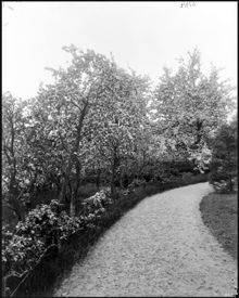 Reinholds trädgård på Djurgården