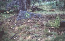 Skärvstenshög från bronsåldern i Spånga 139 i Akalla