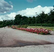 Källhagens blomsterträdgårdar mot väster
