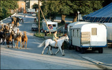 Cirkus Scott 1972. Parad med hästar och elefanter