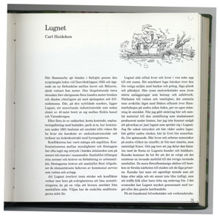 Lugnet / Carl Heideken