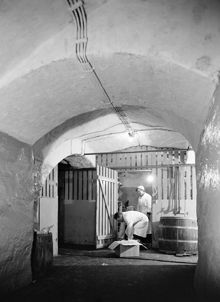 Hötorgshallen. Källaren under saluhallen