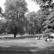 Humlegården