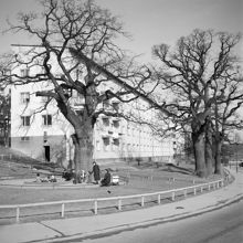 Lekplats i Kristineberg