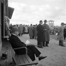 Publik vid Ulriksdals kapplöpningsbana. På stolen sitter Fredrique Hedlund