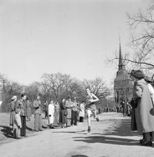 Terränglöpning på Skansen. I bakgrunden Hällestadsstapeln