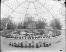 Interiör från Viktoriaväxthuset i Bergianska Trädgården, Frescati. Victoria regia