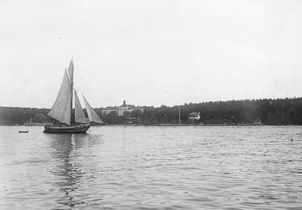Skuta