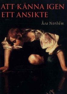 Att känna igen ett ansikte / Åsa Nordén