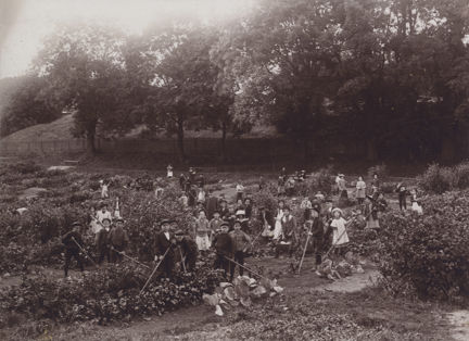 Svartvitt foto på barn som krattar i skolträdgård.