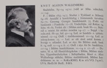 Knut Agaton Wallenberg. Ledamot av stadsfullmäktige 1883-1914