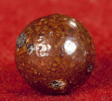 Medeltida spelkula