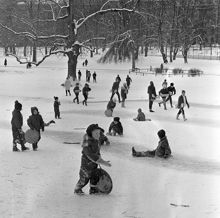Vinter i Humlegården. Barnen åker kana och leker i backen
