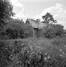 Boxholmsvägen. Hus på igenvuxen tomt