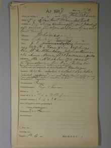 Polisrapporter angående Gustav Adolfs Torg den 5 juni 1917