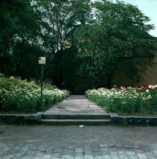Plantering norrut från Sandbacksgatan mot kv. Sankta Katarina Större