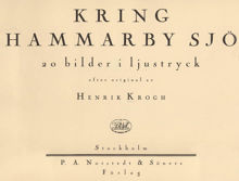 Kring Hammarby sjö : 20 bilder i ljustryck / efter original av Henrik Krogh