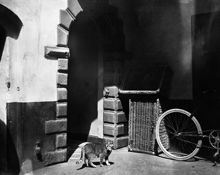 Järntorgsgatan 59, senare Järntorgsgatan 3. En katt står vid porten mot gården