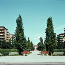 Tessinparken norrut från Valhallavägen