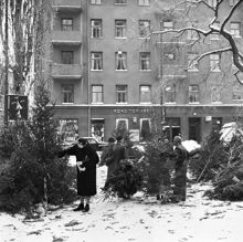 Bergsgatan 17, Julgransförsäljning