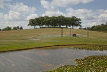 Skogskyrkogården Almhöjden Cermoniplatsen Dammen