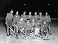 Grupporträtt på Djurgårdens ishockeylag