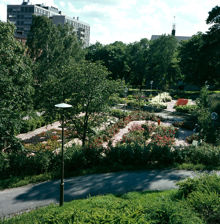 Planteringar i sydöstra Stadshagen (nuv. Sankt Göransparken). Vy åt söder