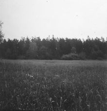 Bronsåldersboplats Spånga 135:1 i Akalla