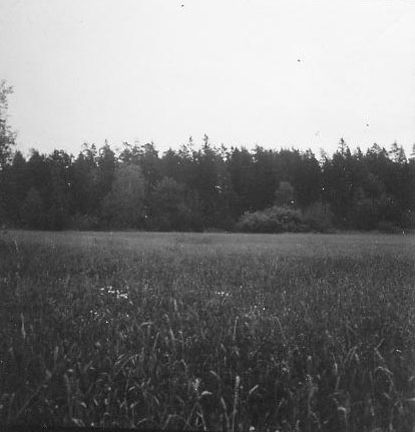 Svartvitt foto på ett åker.