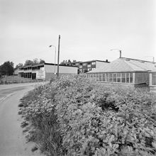 Växthus i Hässelby, Glädjevägen