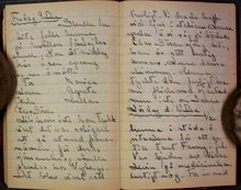 Maja Berghs dagbok - Maja ger svar på tal rösträttsåret 1921 